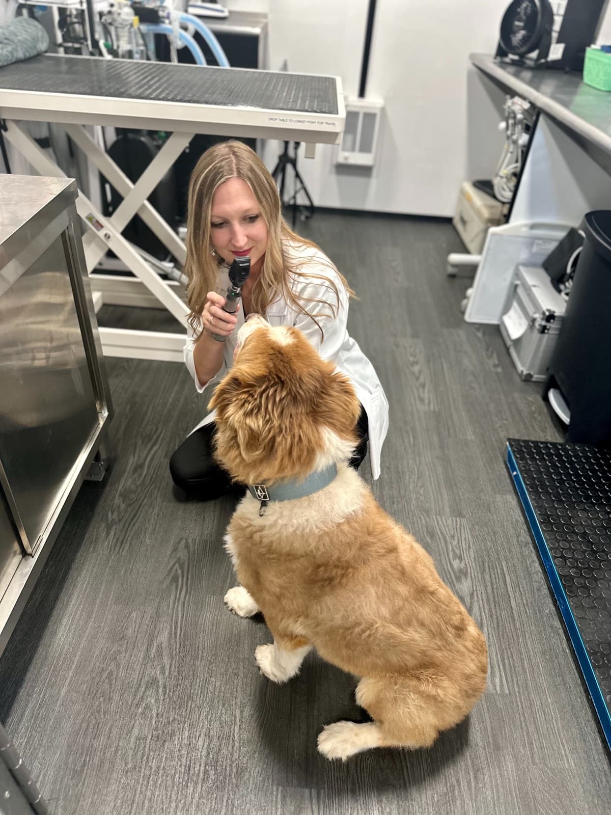 Dr. Mackenzie Deviney examining a dog during an in-home visit in central Oklahoma
