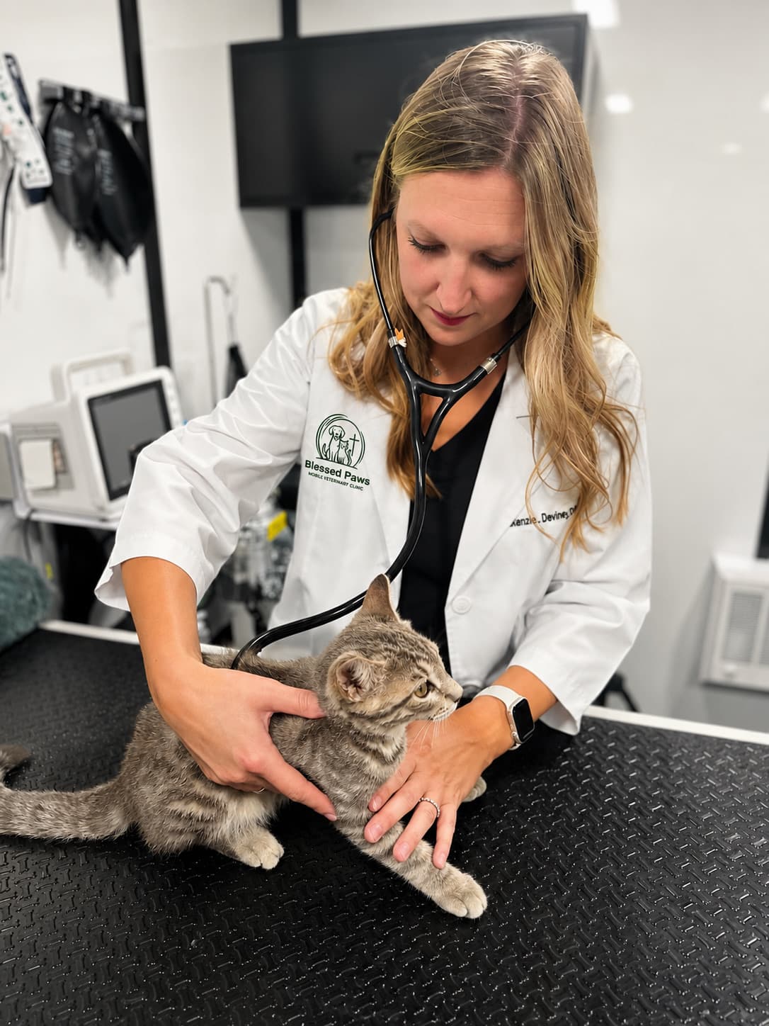 Dr. Mackenzie Deviney examining a cat during an in-home visit