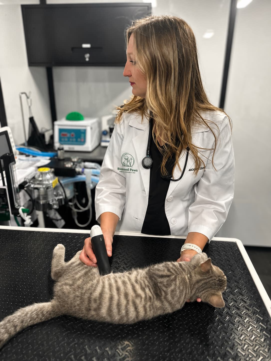 Dr. Mackenzie Deviney using in-home diagnostic equipment on a cat in the Blessed Paws mobile unit
